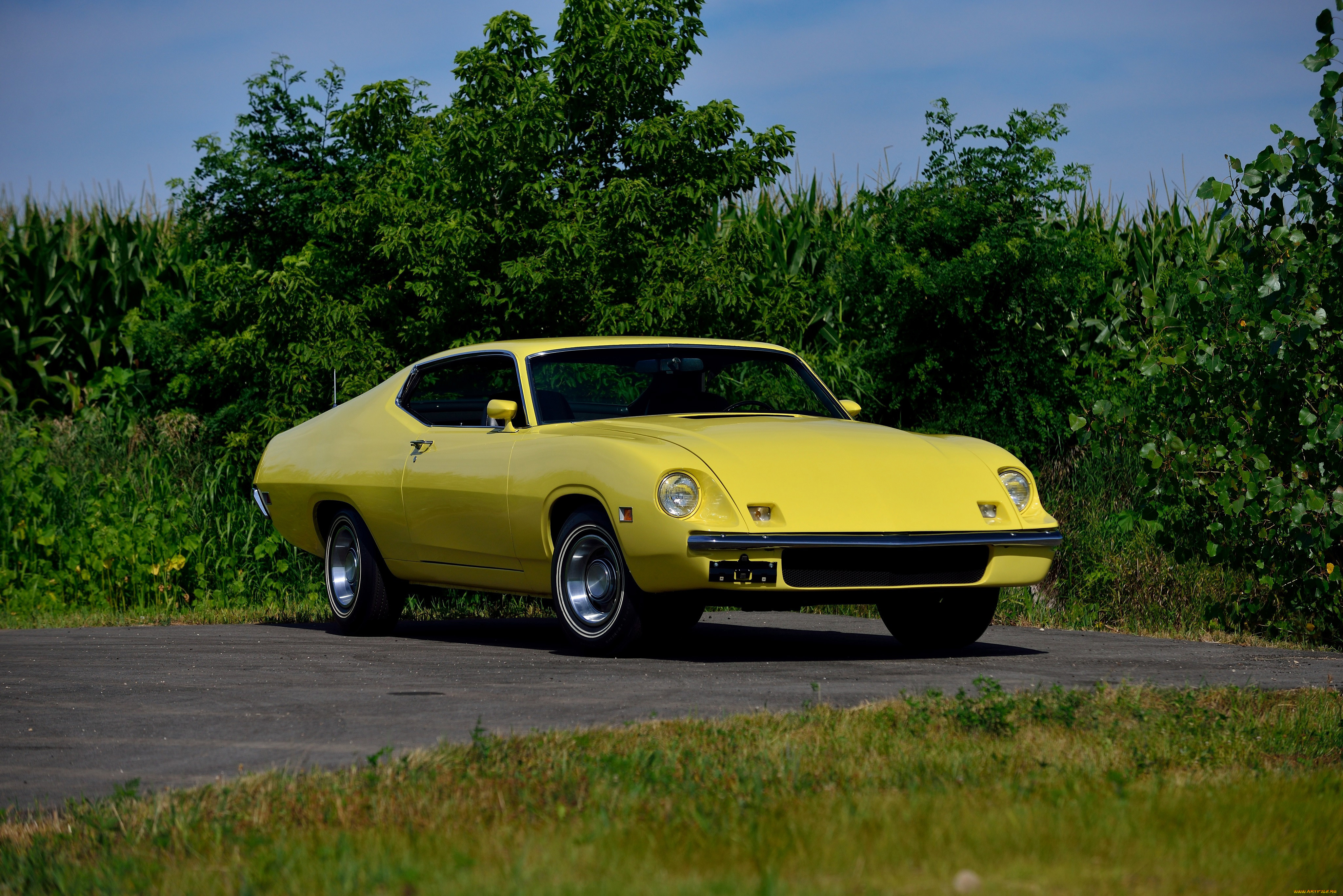 , ford